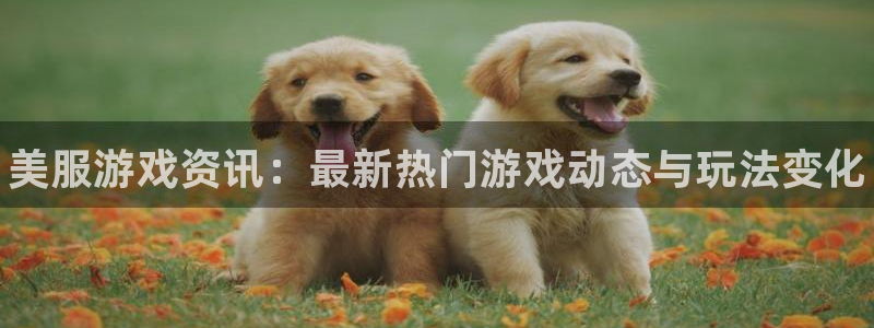 多彩娱乐下载：美服游戏资讯：最新热门游戏动态与玩法变化