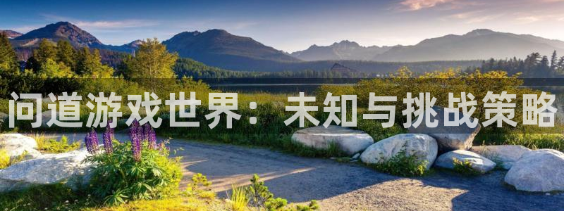 多彩娱乐平台登录线路：问道游戏世界：未知与挑战策略