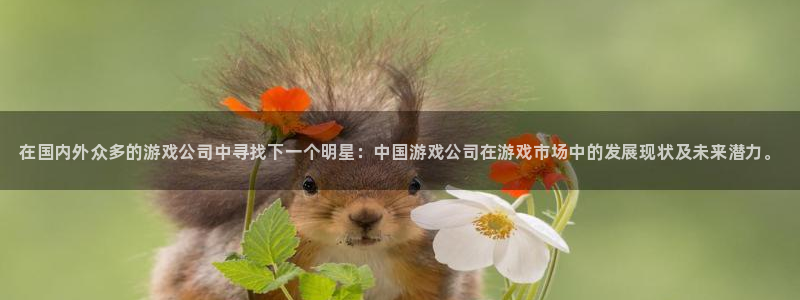 多彩娱乐直属：在国内外众多的游戏公司中寻找下一个明星：中国游