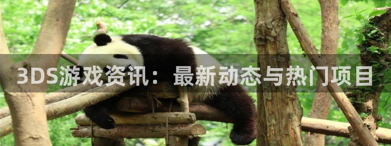 多彩娱乐官方平台：3DS游戏资讯：最新动态与热门项目
