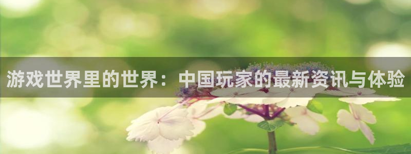 多彩娱乐2登录：游戏世界里的世界：中国玩家的最新资讯与体验