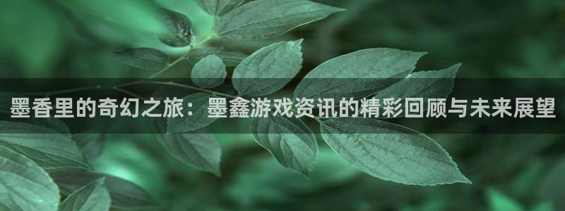 多彩娱乐平台注册资金多少：墨香里的奇幻之旅：墨鑫游戏资讯的精