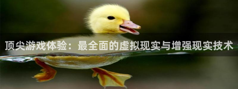 多彩娱乐登陆：顶尖游戏体验：最全面的虚拟现实与增强现实技术