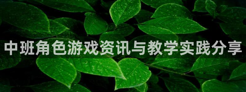 多彩娱乐科技：中班角色游戏资讯与教学实践分享