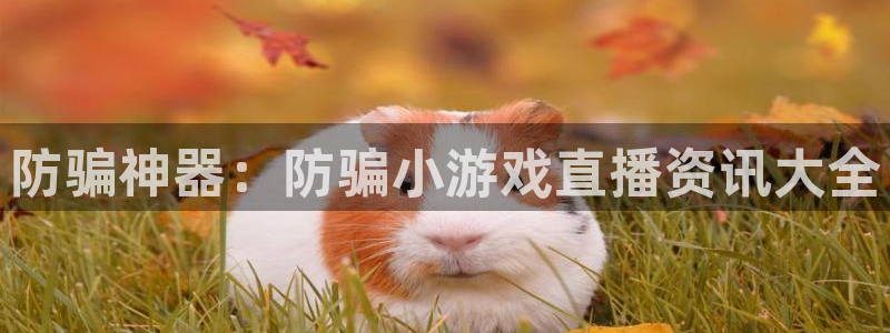 多彩联盟官方